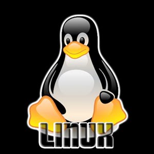 [linux-logo1.jpg]