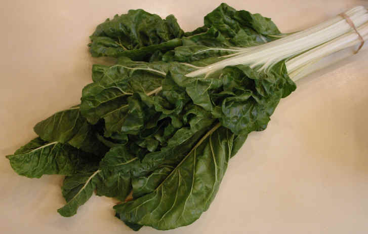 [Chard.jpg]