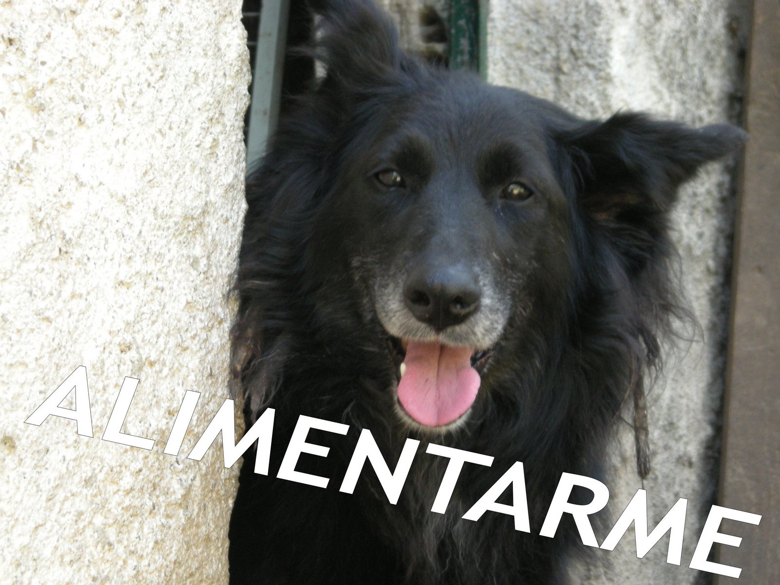 [curritaALIMENTARME..jpg]