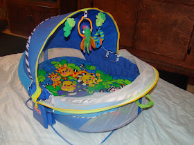 baby bouncer with canopy
