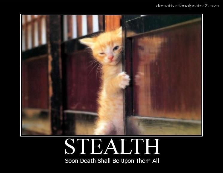 Black Cat Motivational