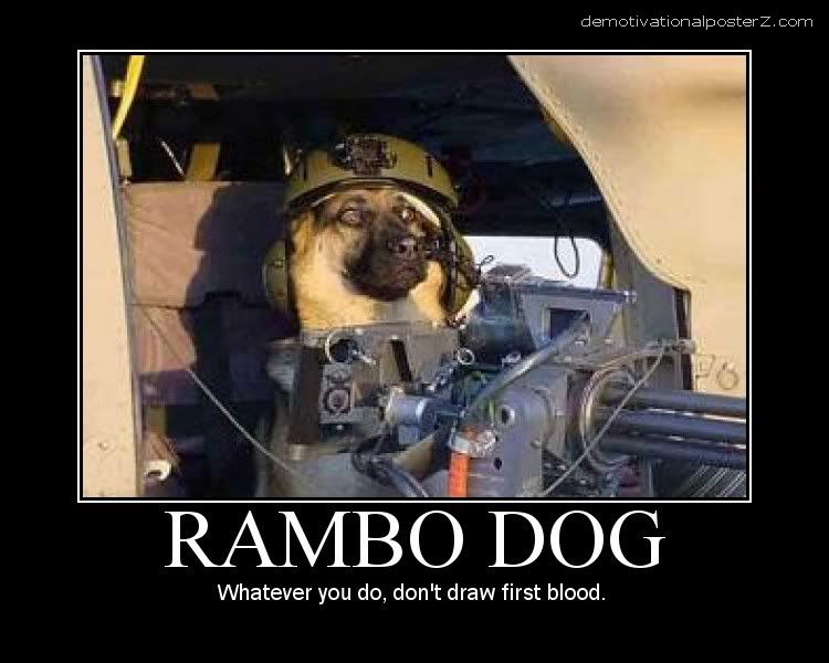 rambo%2Bdog.jpg