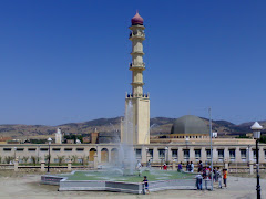  صور مدينة البرواقية  المسجد