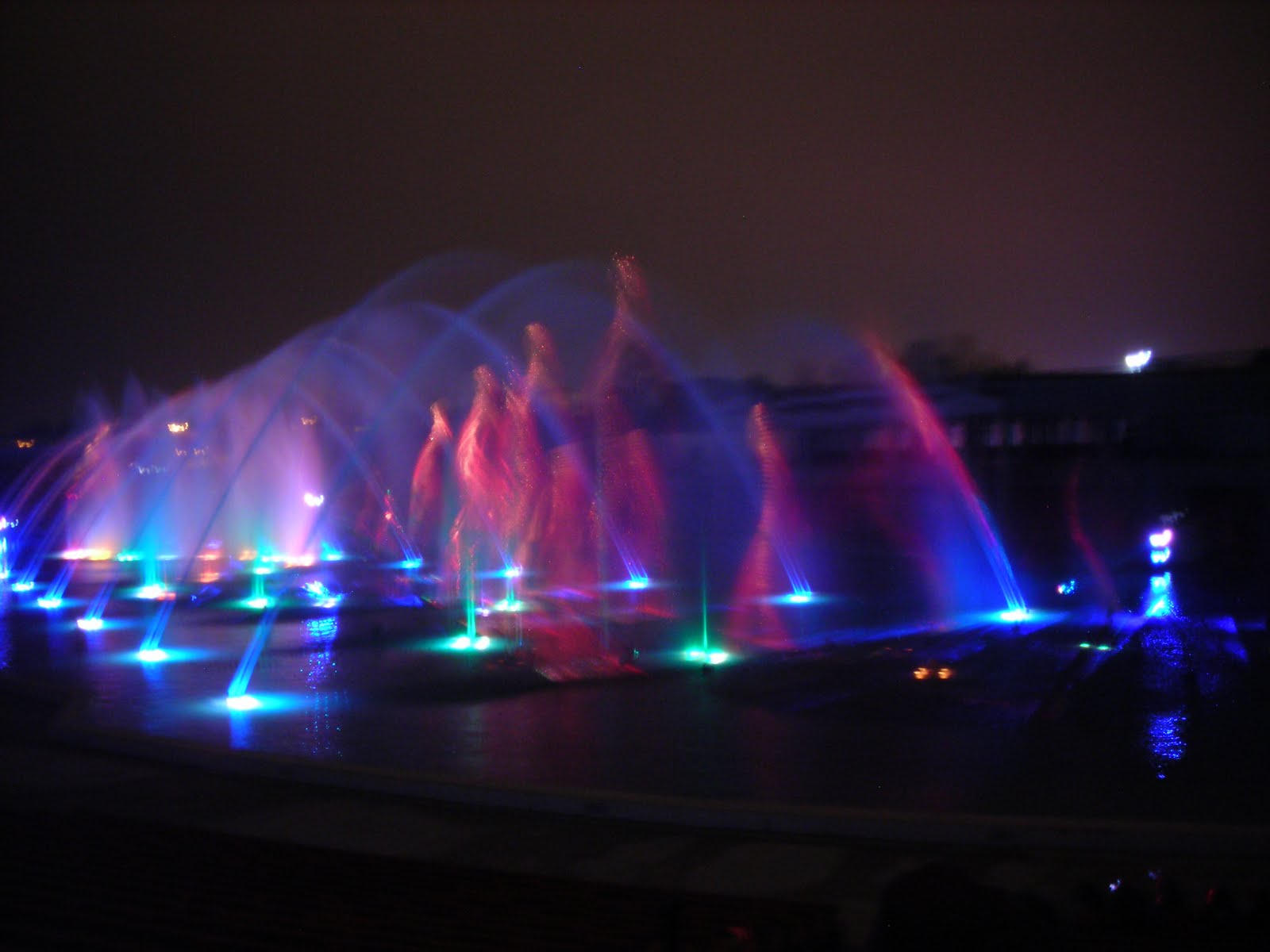 [DSCN2467.JPG]