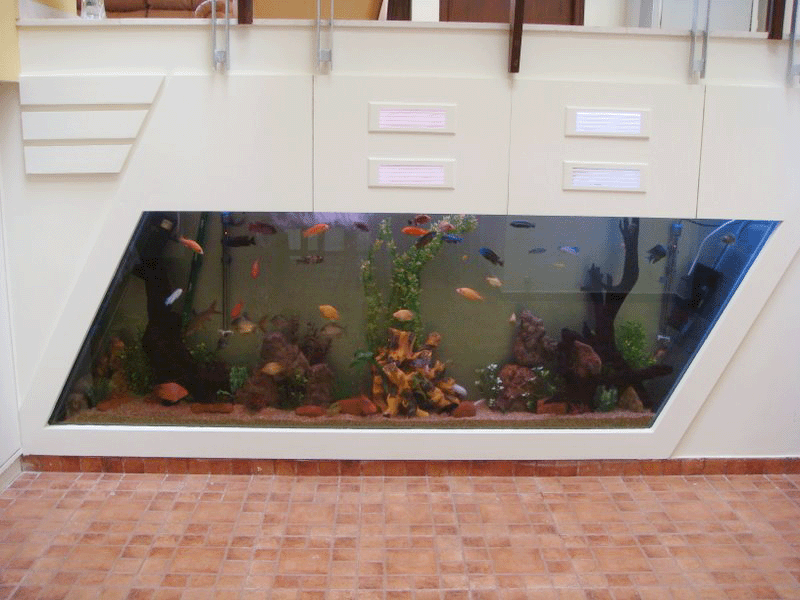 Kind Pet Shop Fish Aquarium
