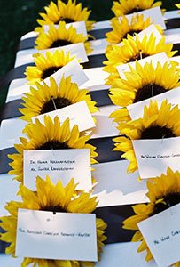 [sunflowerescort+cards.jpg]