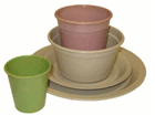 Biodegrablable Plate & Cups