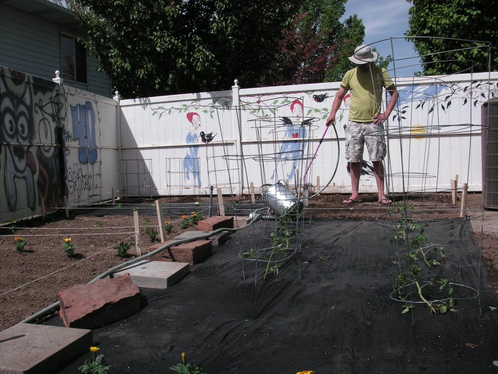 [steveo+watering.jpg]