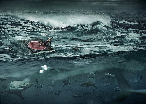 "Tiburones Asesinos"