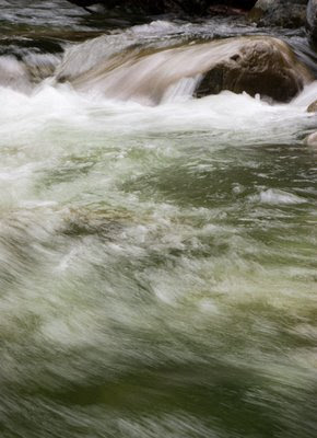 Pohangina river below Ngamoko hut