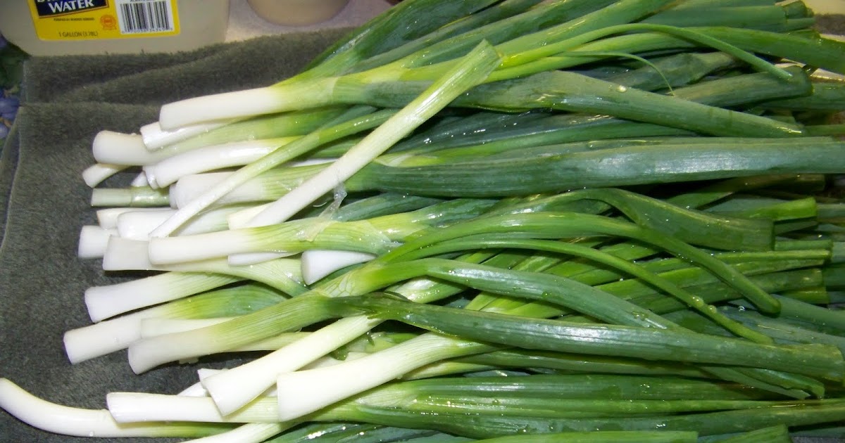 Hickery Holler Farm Freezing Spring Onions