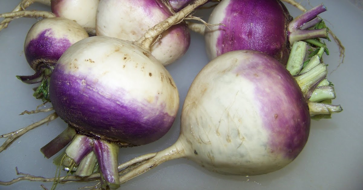 Hickery Holler Farm Scalloped Turnips