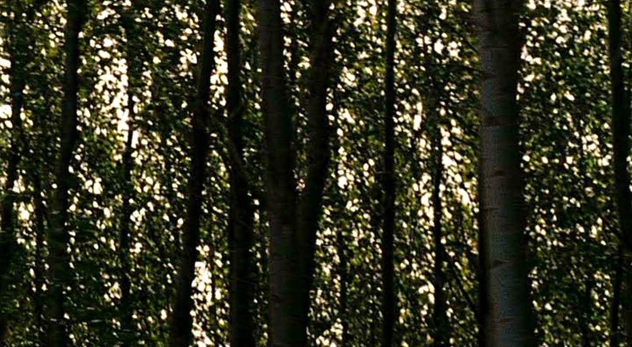 [PDVD_028.BMP]