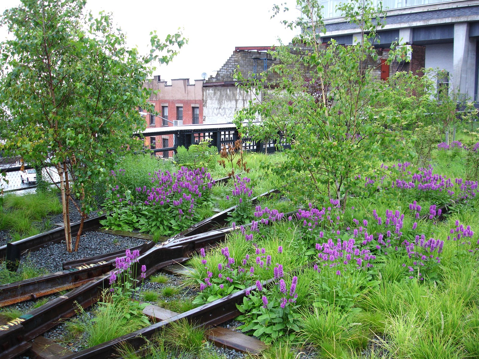 [HighLine_06.jpg]