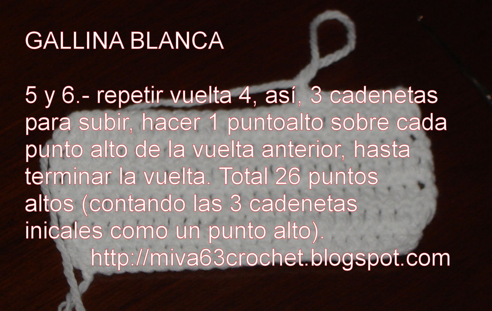 [PAPGALLINAMIVA08+006.jpg]