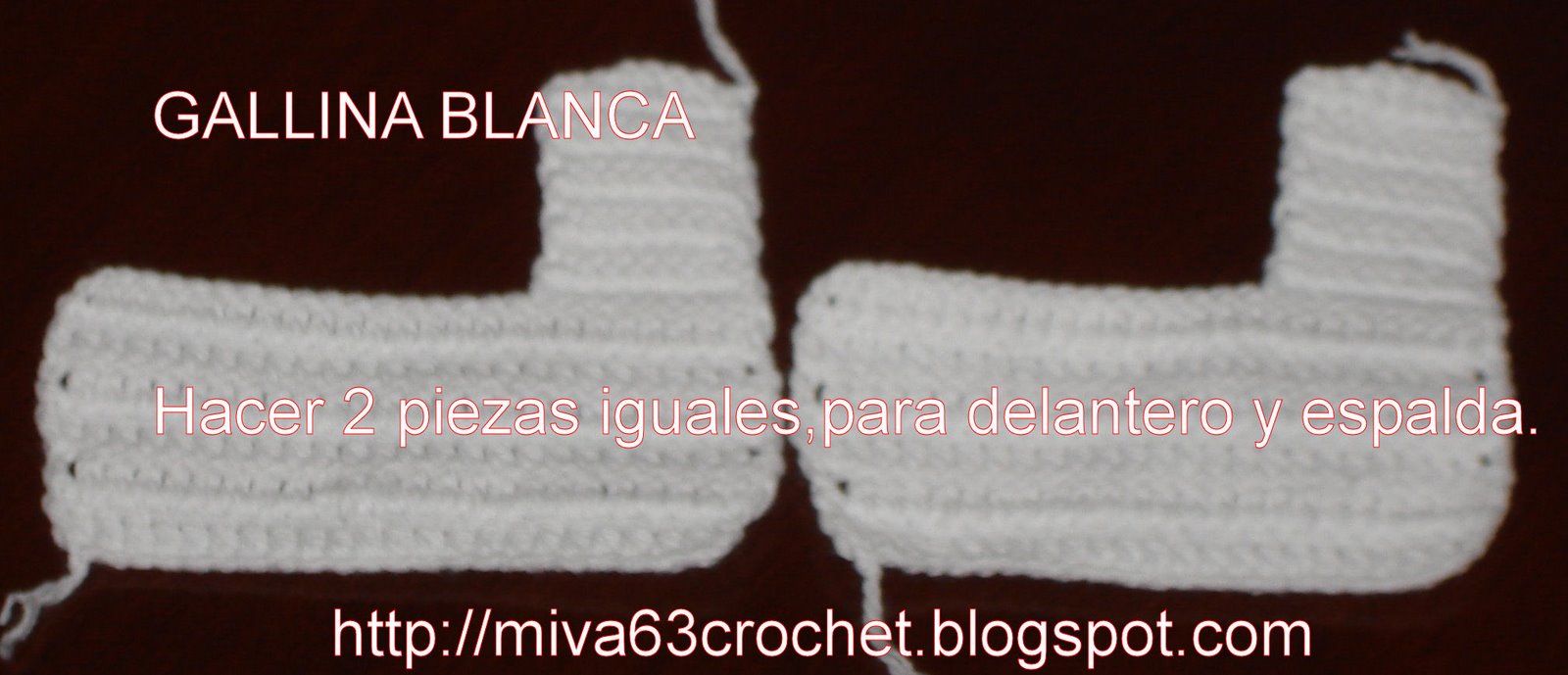 [PAPGALLINAMIVA08+009.jpg]