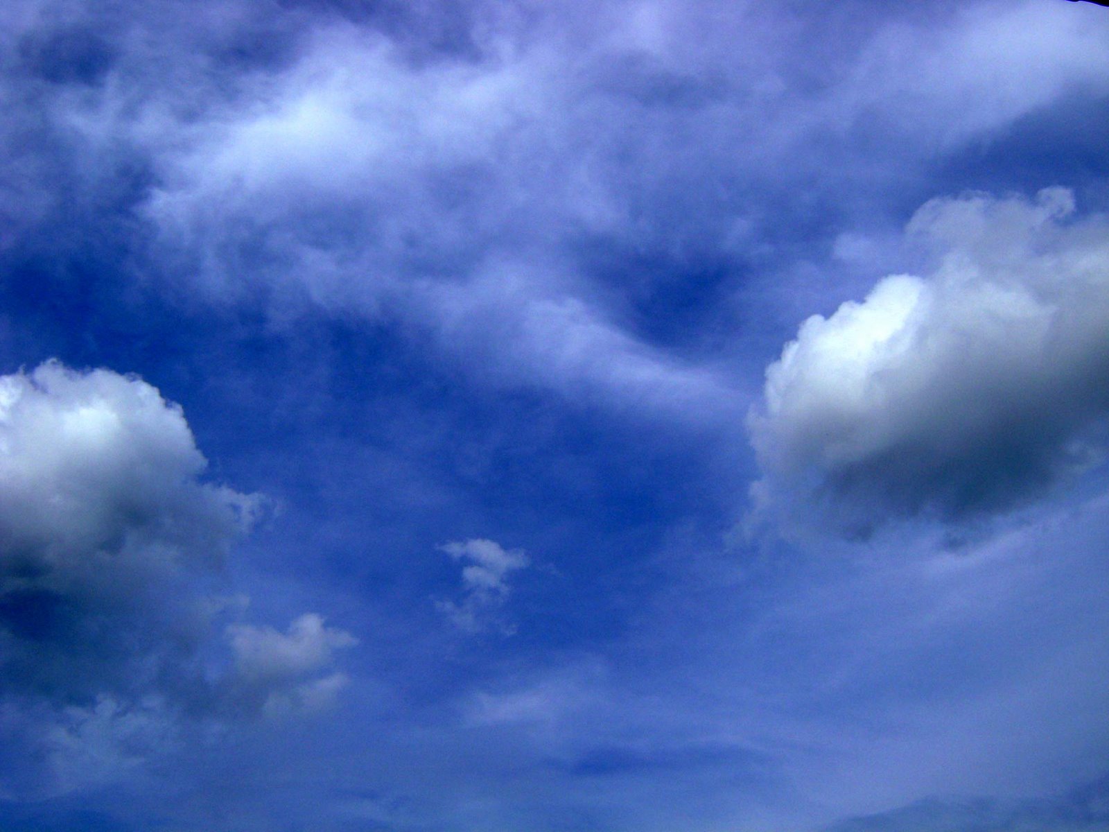 [DSC00094.JPG]