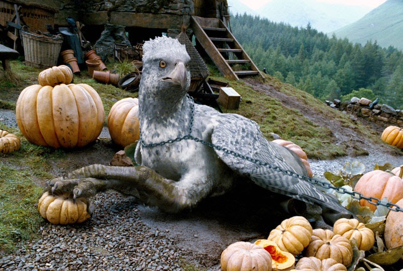 HARRY POTTER'S ULTIMATE FAN SITE BUCKBEAK WITHERWINGS