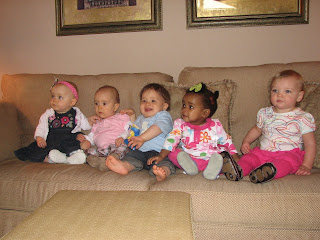 All his ladies (1 and under) - ...