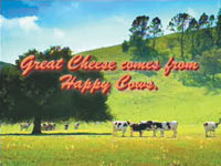 Happy Cows California