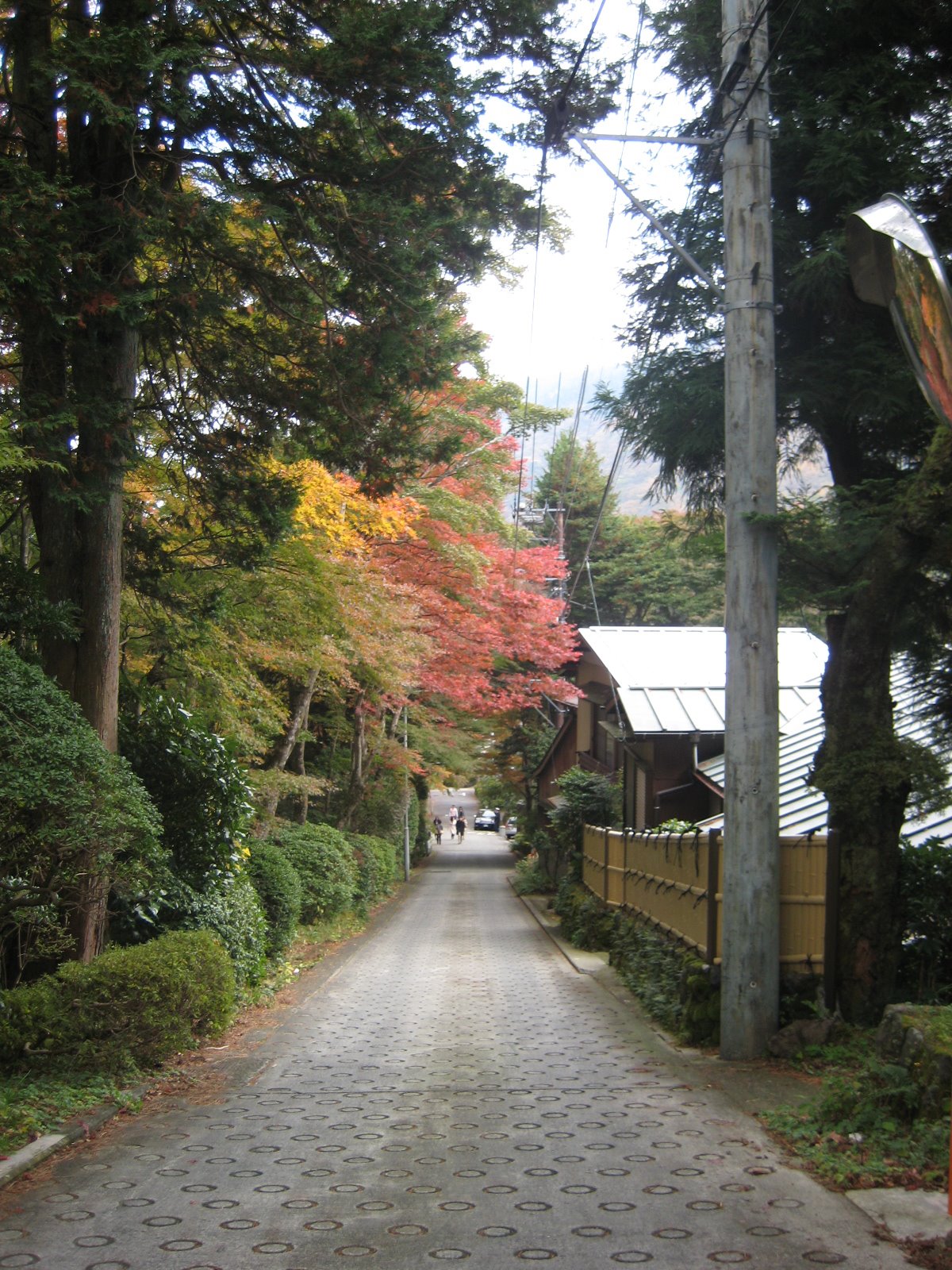 [IMG_0870.JPG]