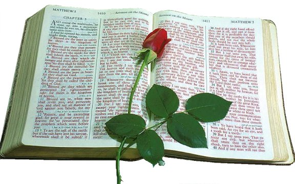 [Bible+and+rose.jpg]