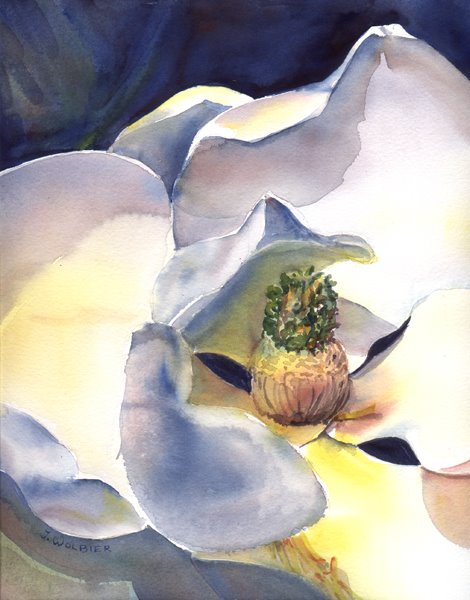 [Magnolia+Blossom+by+Joan+Wolbier.jpg]