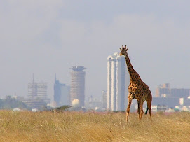NAIROBI.