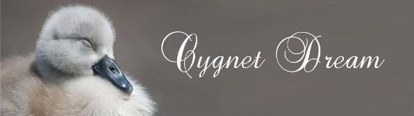 Cygnet Dream