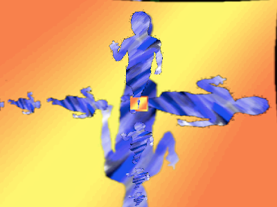 instantshot software instantshot software