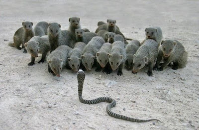 Please wait while images are being loaded.....