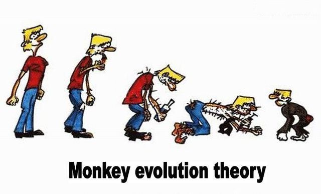 [evolution-funny-pictures-14.jpg]