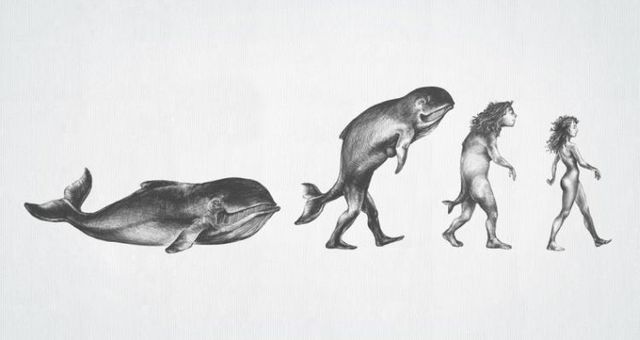 [evolution-funny-pictures-04.jpg]