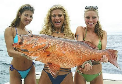 Fishing Big Catch