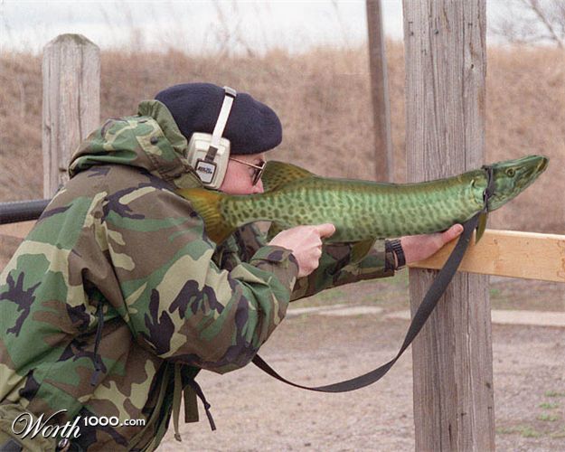 [fishy-photoshopped-38.jpg]