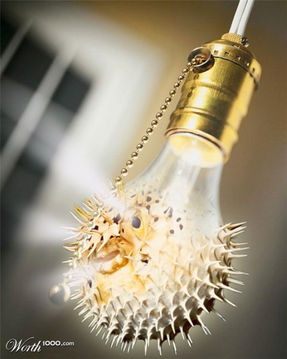 [fishy-photoshopped-16.jpg]