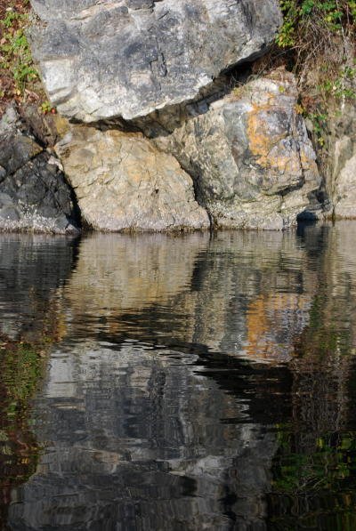 [DSC_2529+(2)Reflec+(2).JPG]