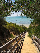 Steps up to Whitecliffs Lookout