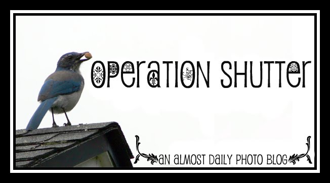 Operation Shutter