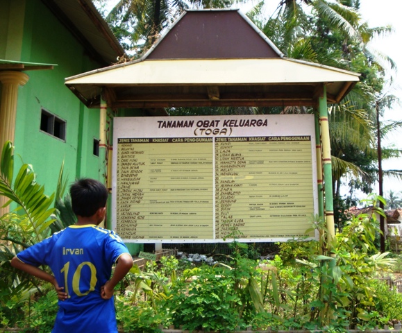 secondary socialization