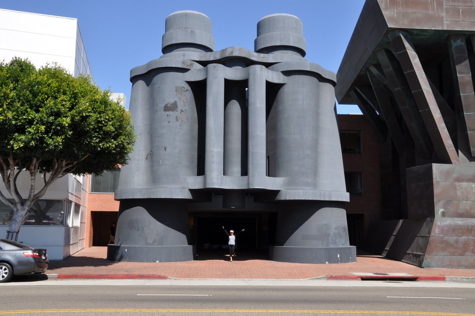 Where is Cat?? The Binoculars Building