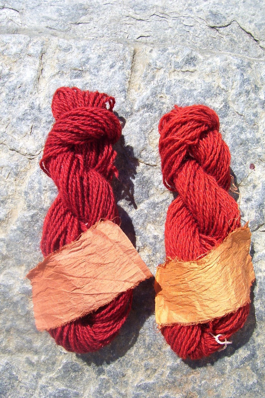 [madder+root+3+08.jpg]