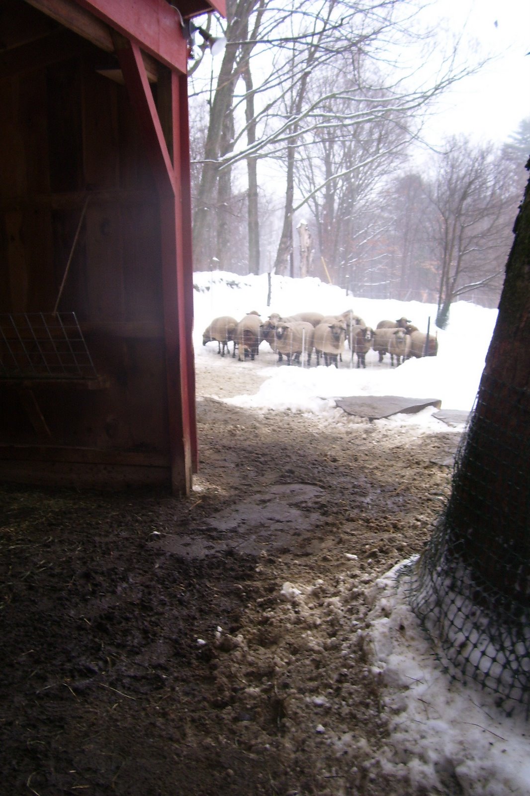 [Winter+2008+065.jpg]