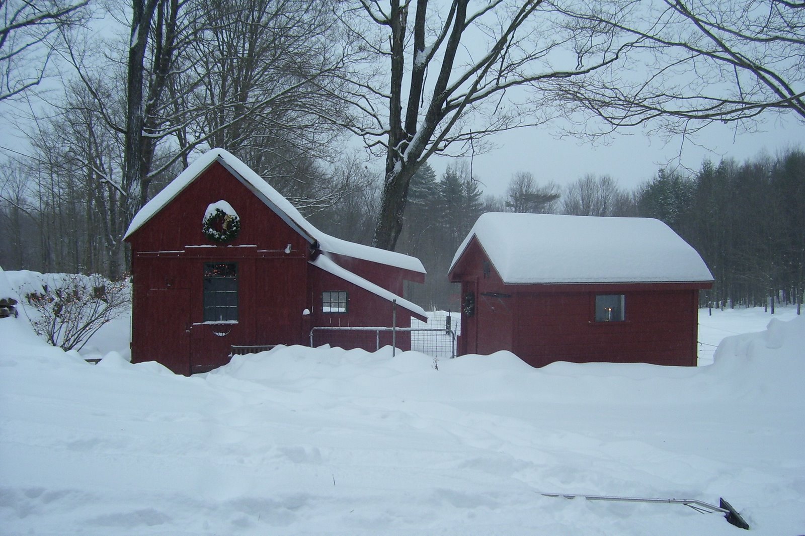 [Winter+2008+007.jpg]