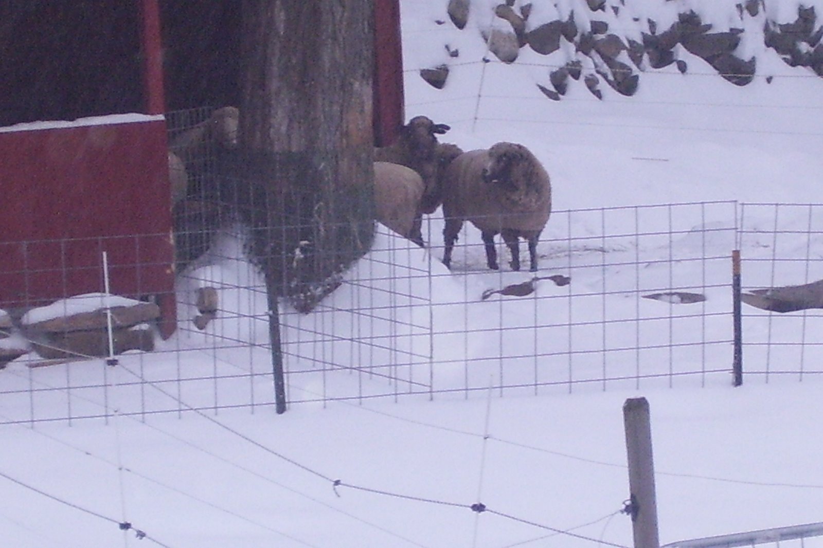 [Winter+2008+016.jpg]