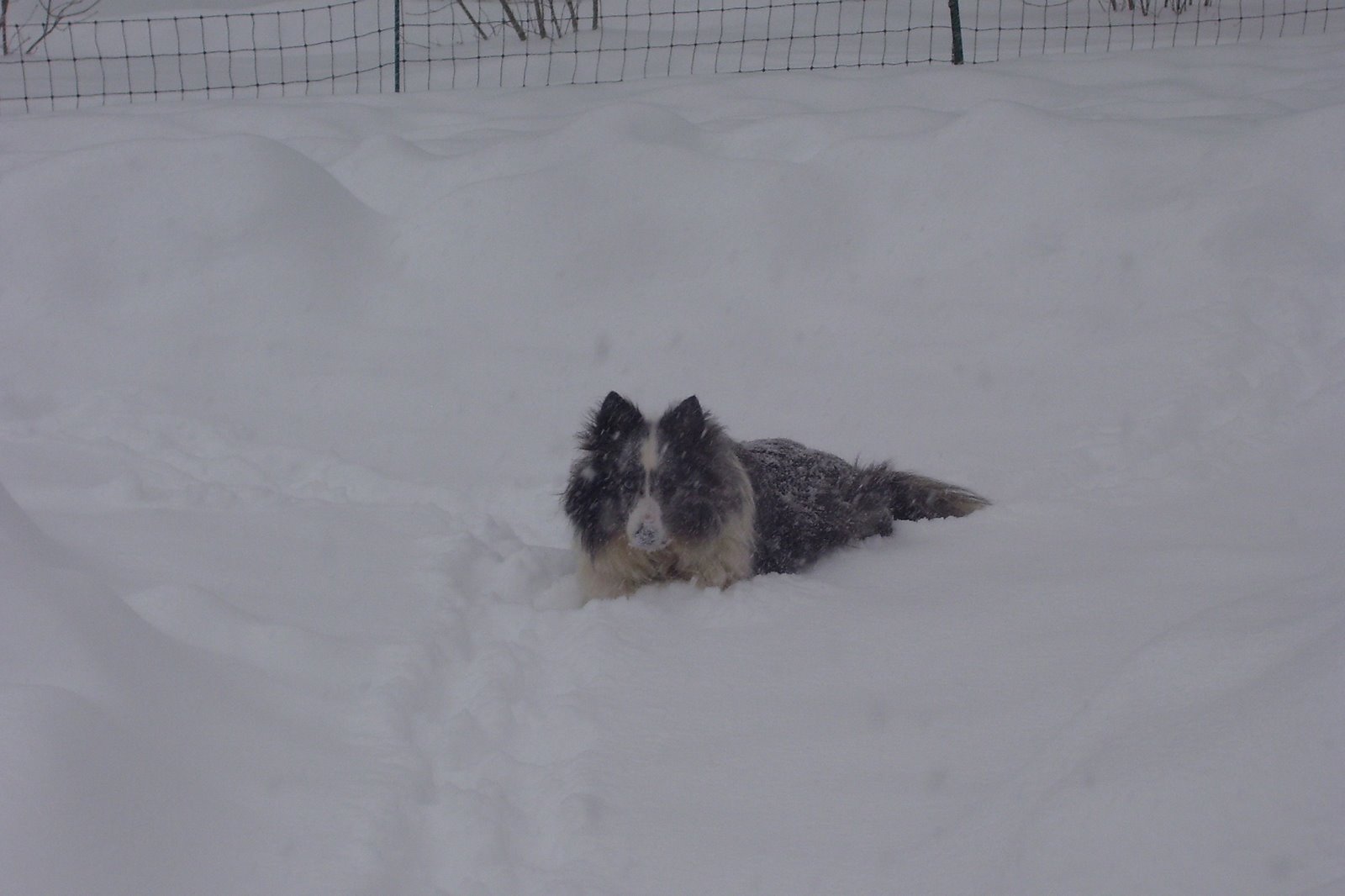 [Winter+2008+137.jpg]