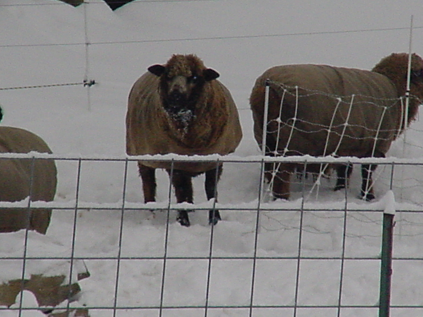 [Winter+2008+092.jpg]