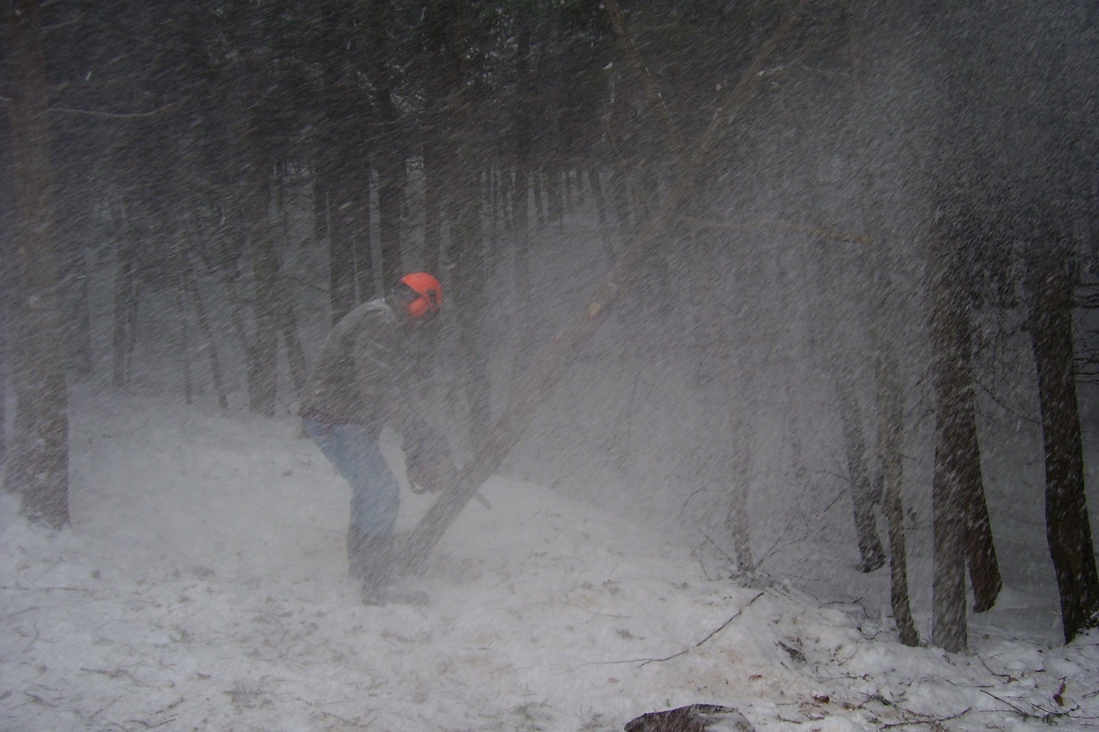 [Winter+2008+221.jpg]