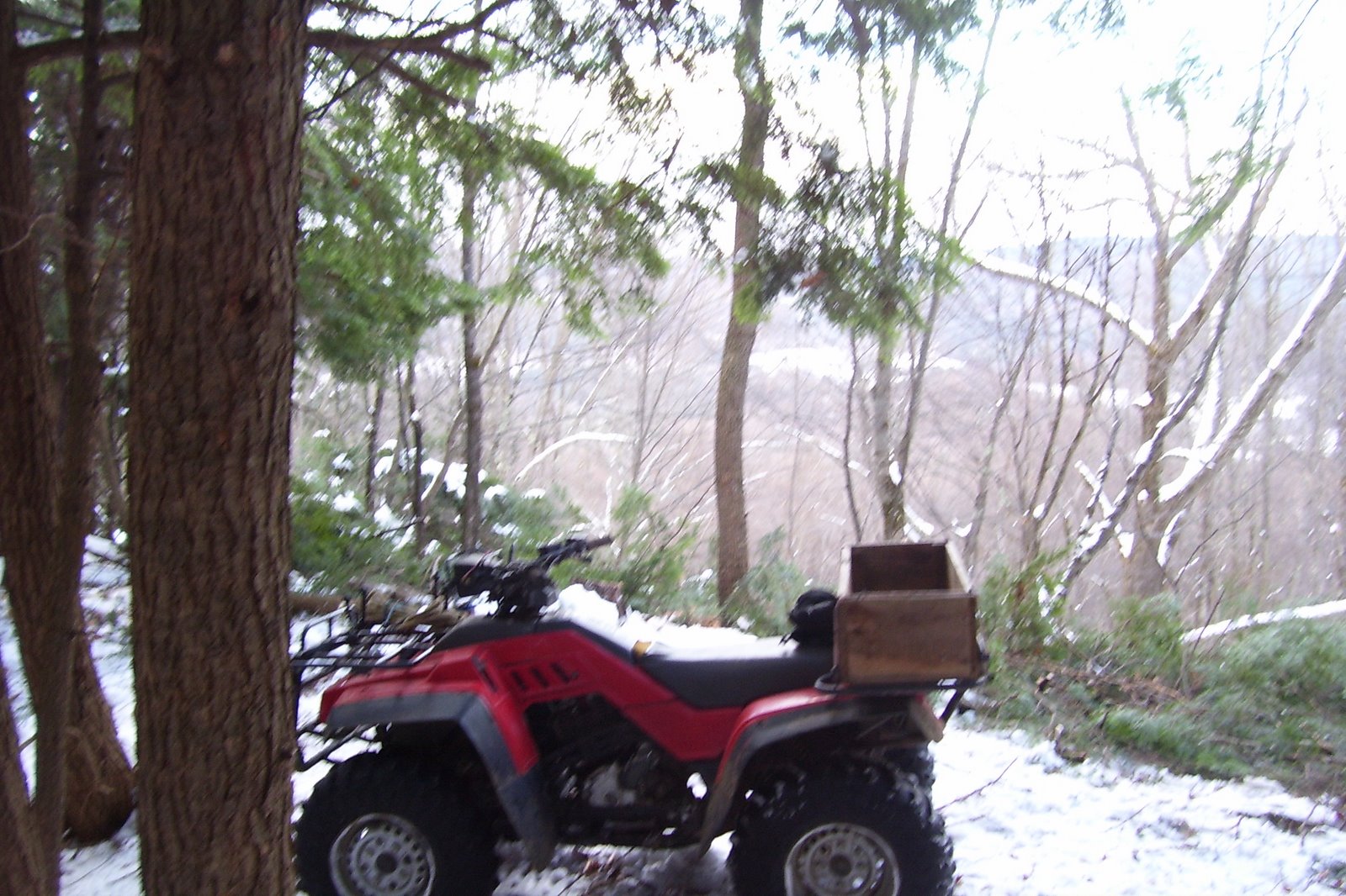 [Winter+2008+200.jpg]