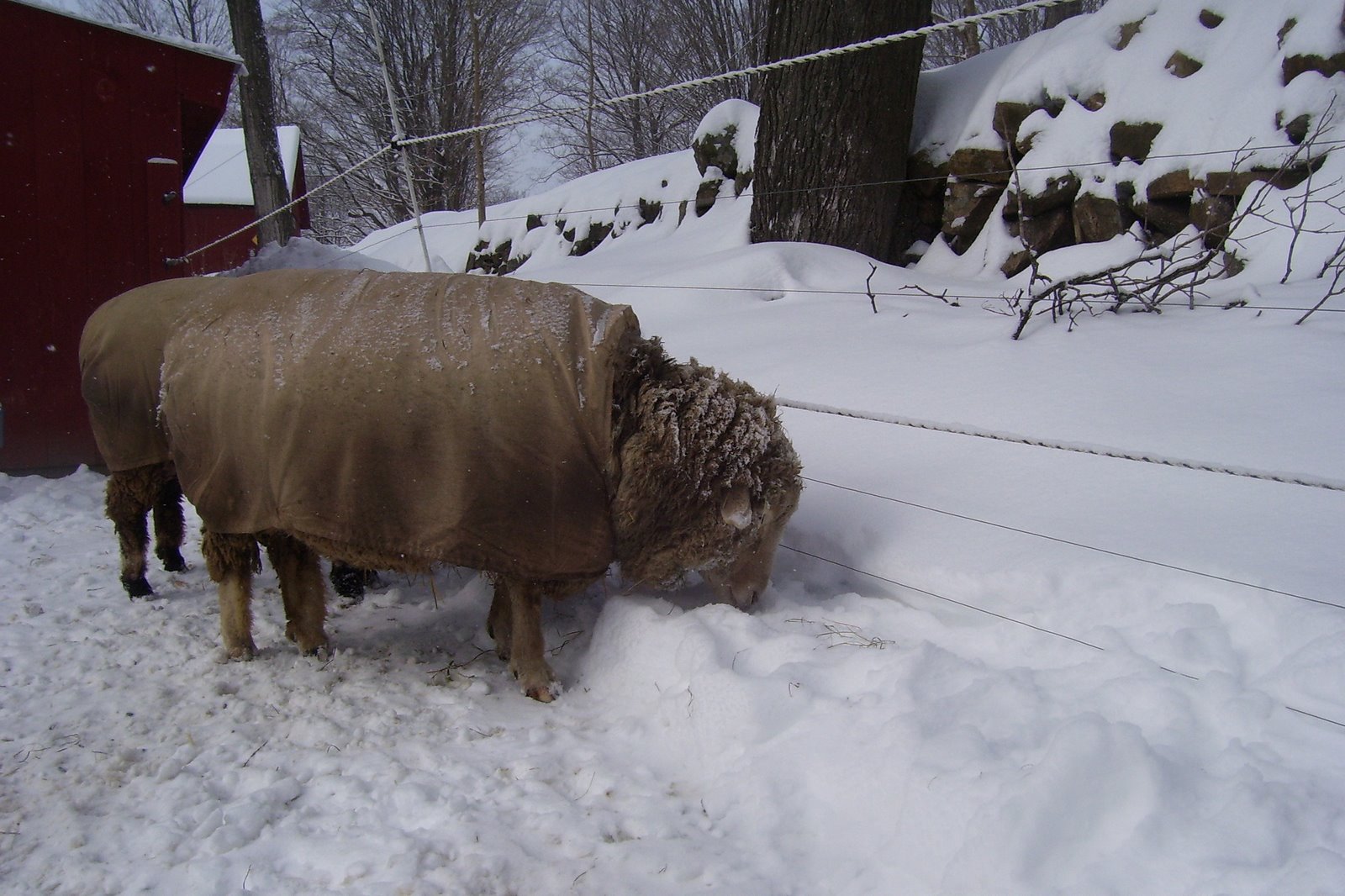 [Winter+2008+390.jpg]